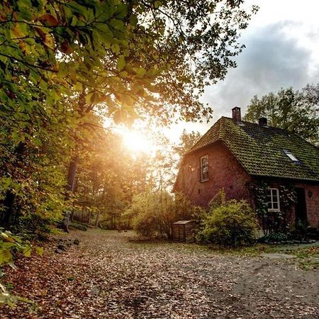 Forsthaus - Gut Thansen Soderstorf Bagian luar foto
