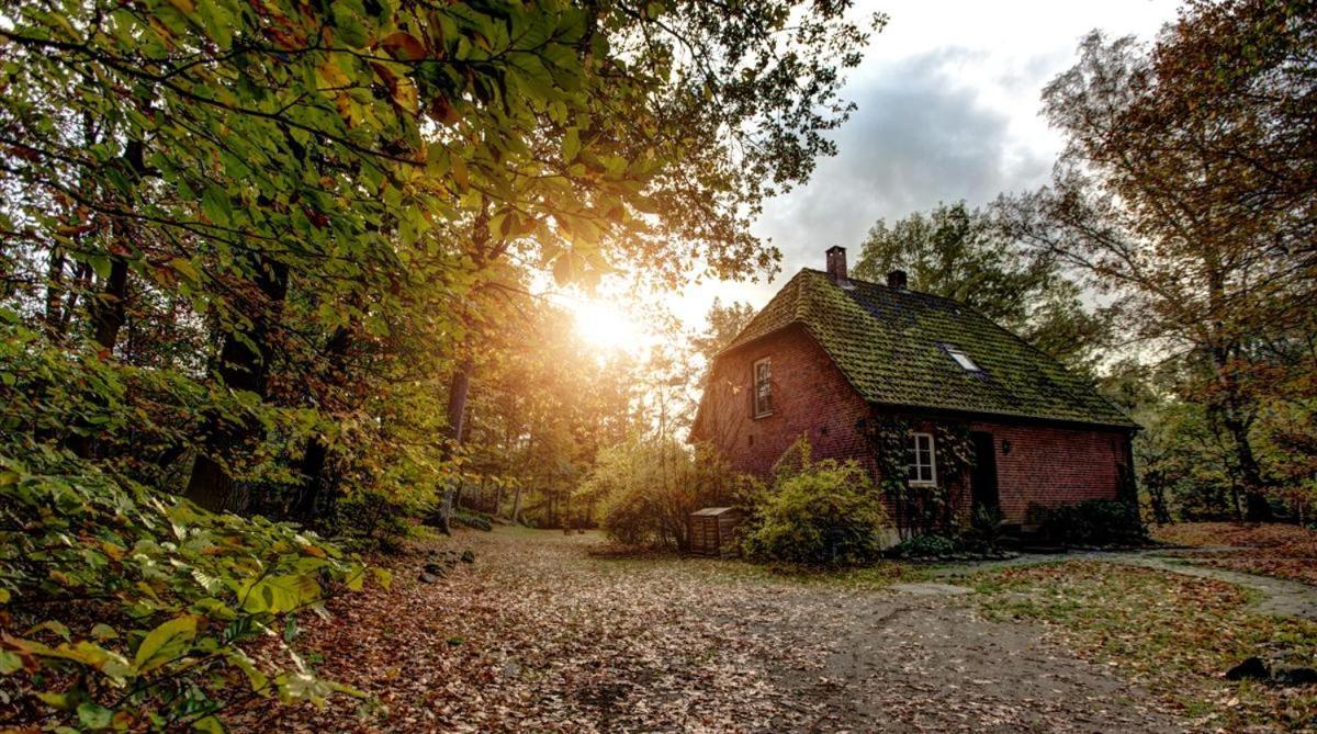 Forsthaus - Gut Thansen Soderstorf Bagian luar foto